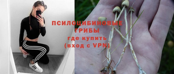 дмт Абинск