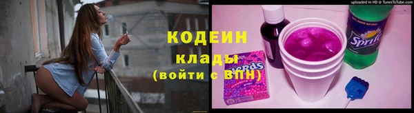 шишки Переславль-Залесский