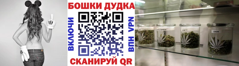 Бошки марихуана OG Kush  закладка  Абаза 